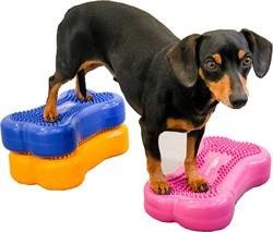 FitPAWS® K9FITbone