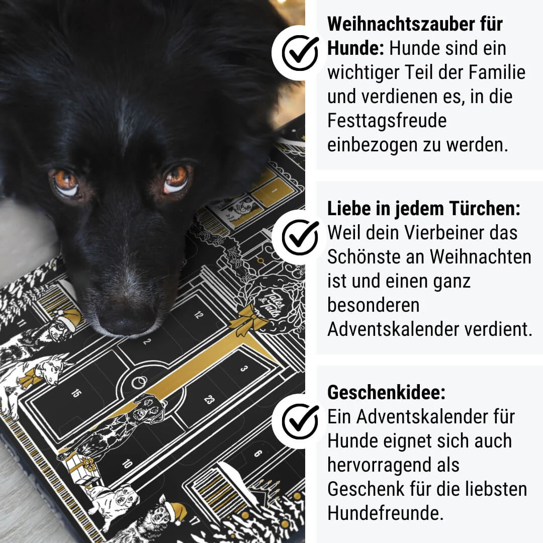 Frohe Waunachten - Adventskalender für Hunde