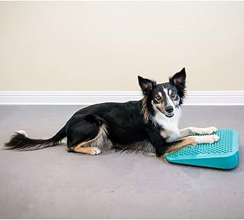 FitPAWS® Hunde-Balance-Rampe