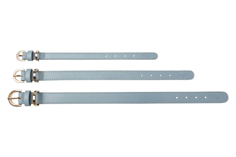 Hundehalsband Classy ice - gold