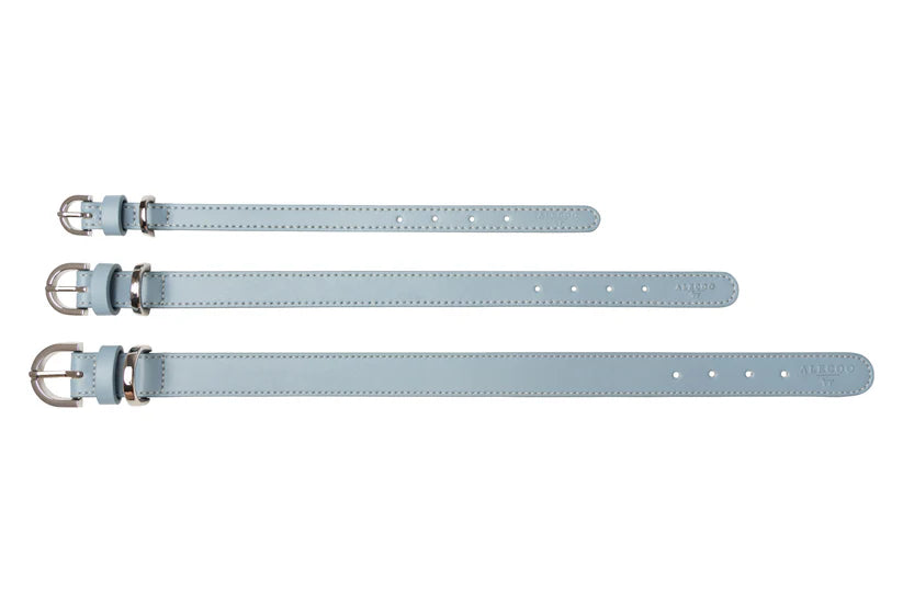 Hundehalsband Classy ice - silver