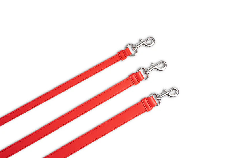 Hundeleine Classy sunset rot - silver