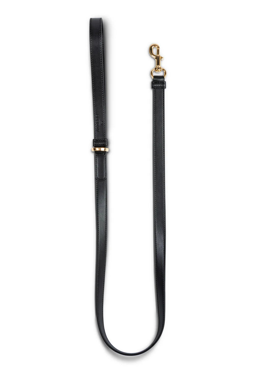 Hundeleine Classy coal schwarz - gold