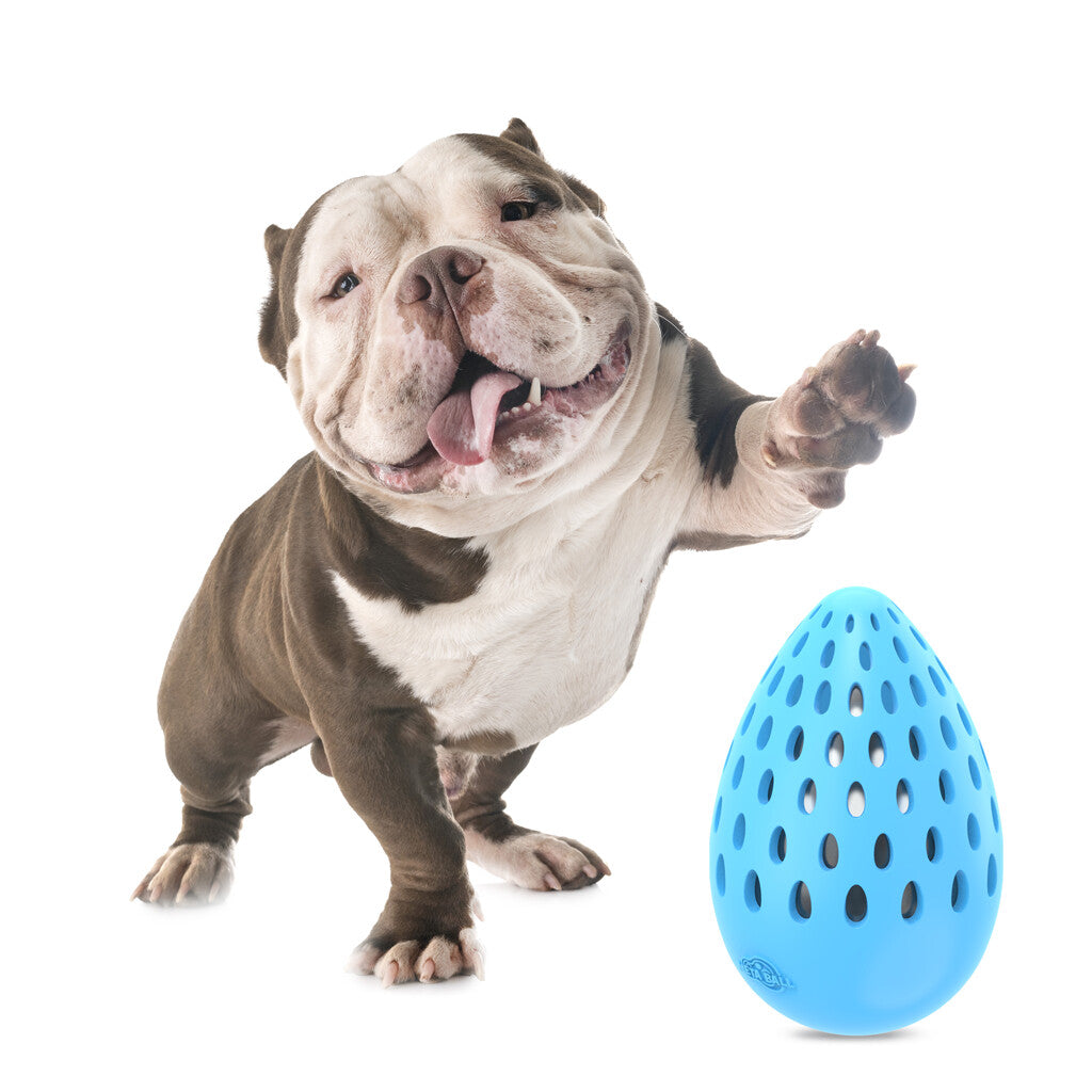 AFP Meta Ball - Holey Egg indestructible