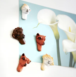 Kühlschrankmagnete „Alpaca“