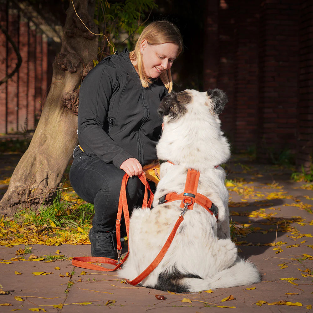 anny-x Brustgeschirr Fun Ahorn