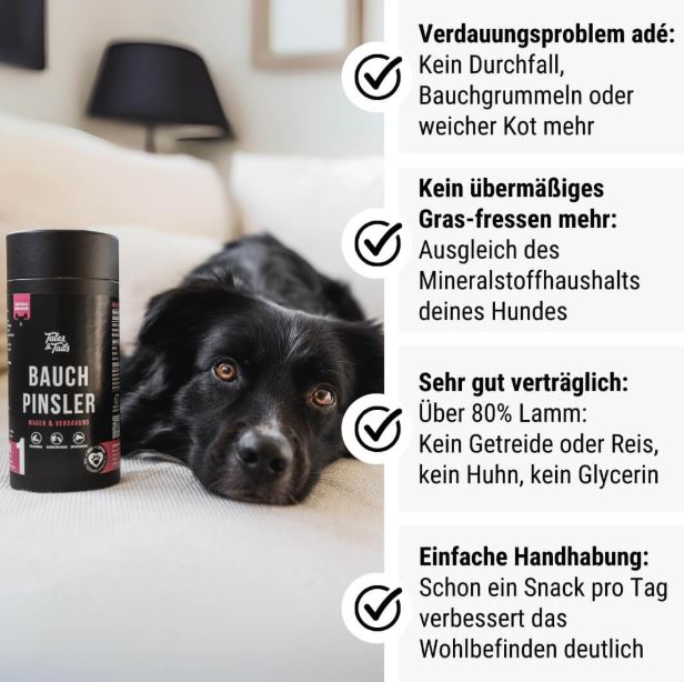 Bauchpinsler
