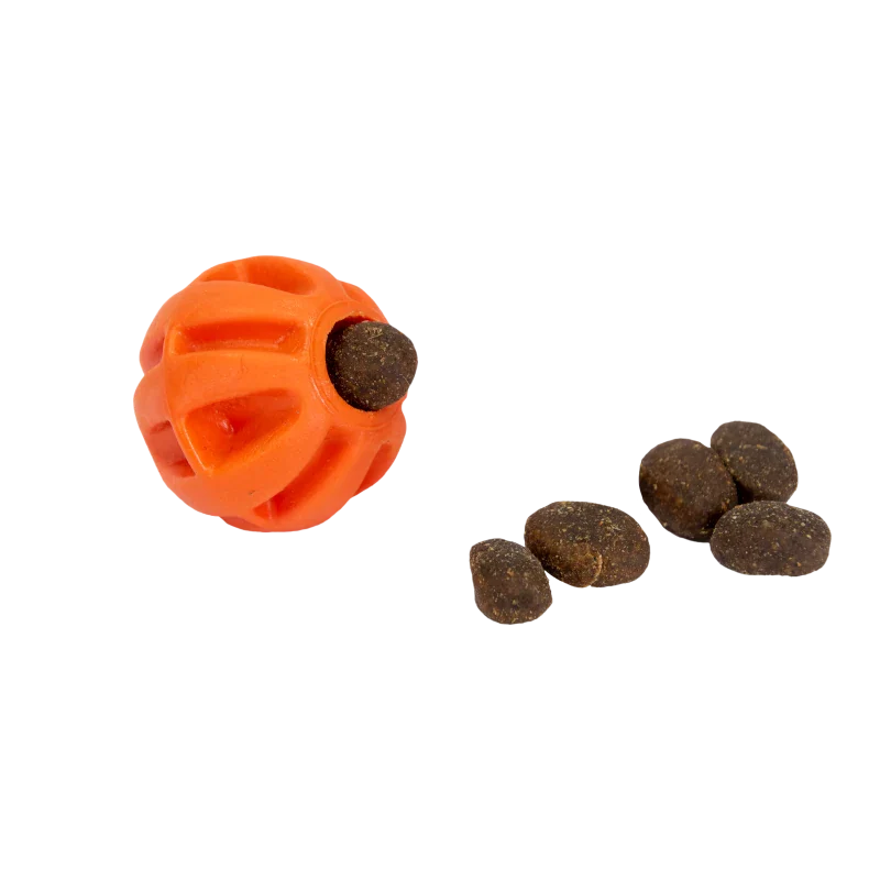 Baxter Ball Mini