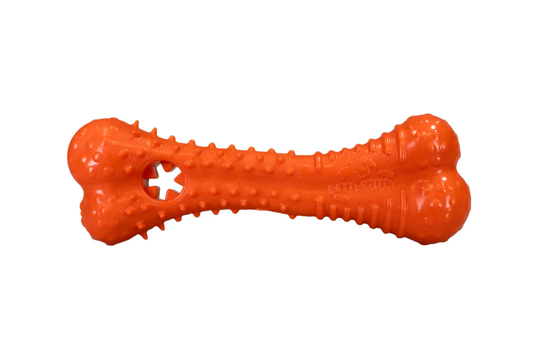 Baxter Bone