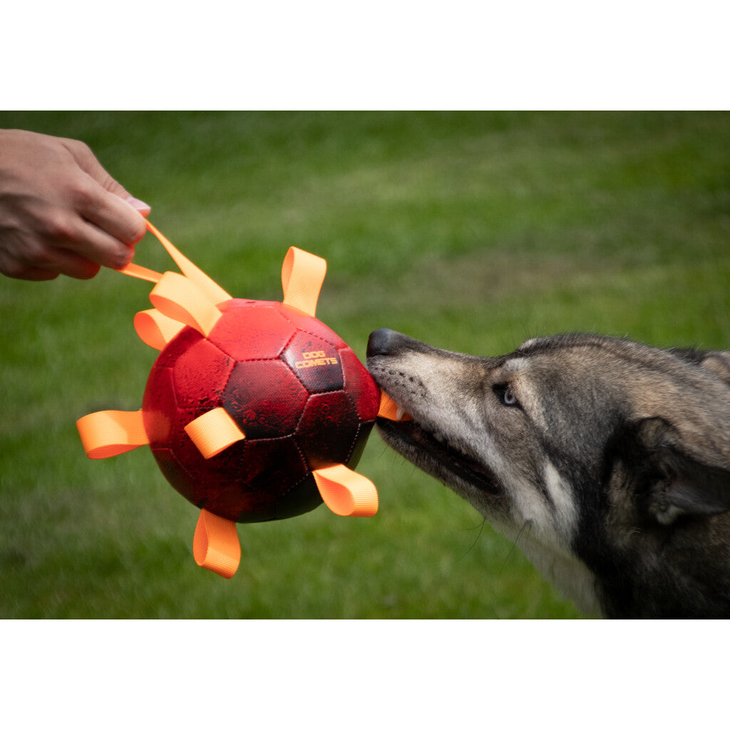 Dog Comets Hypernova