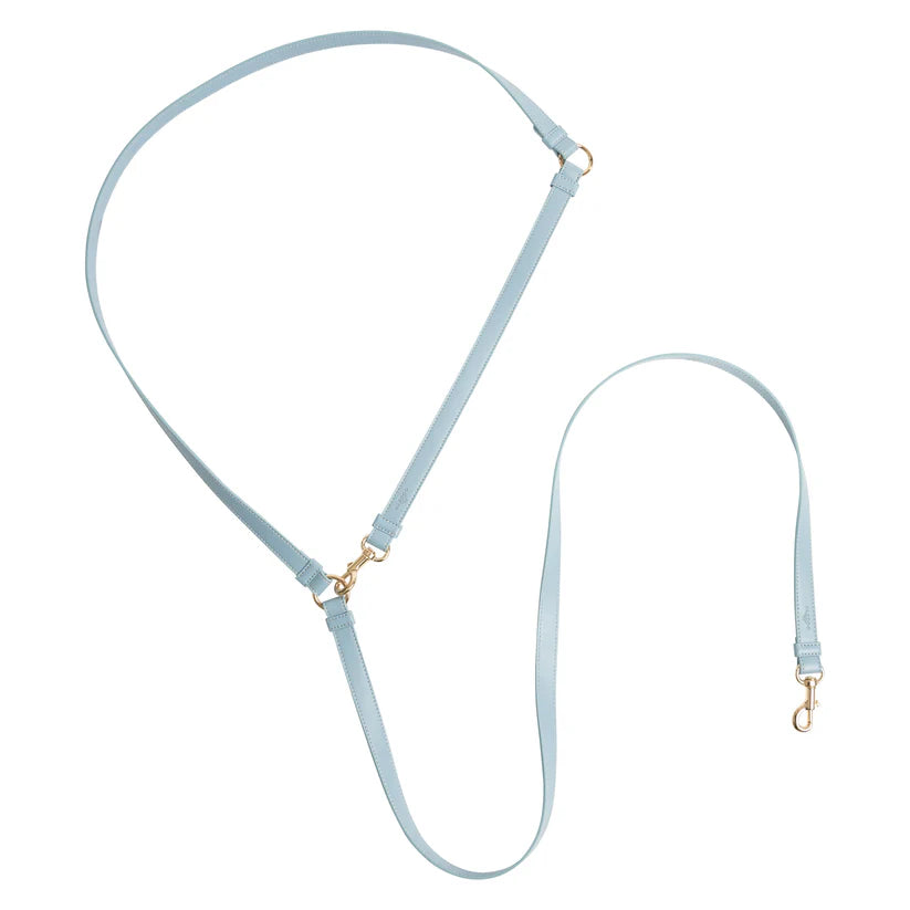 Hundeleine Classy LONG ice blue - gold