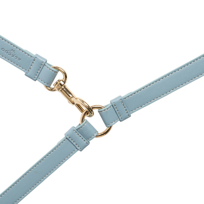 Hundeleine Classy LONG ice blue - gold