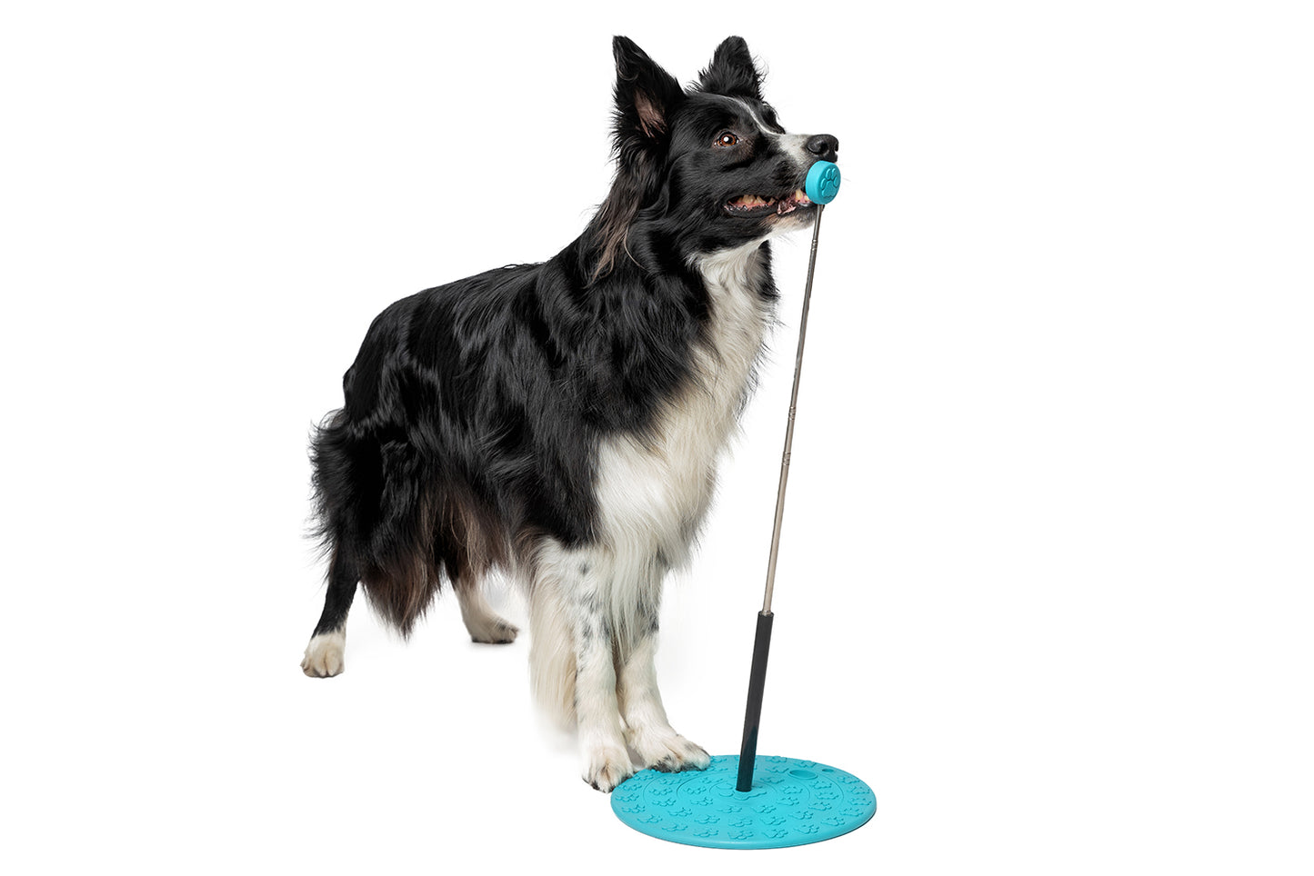 Target-Stick