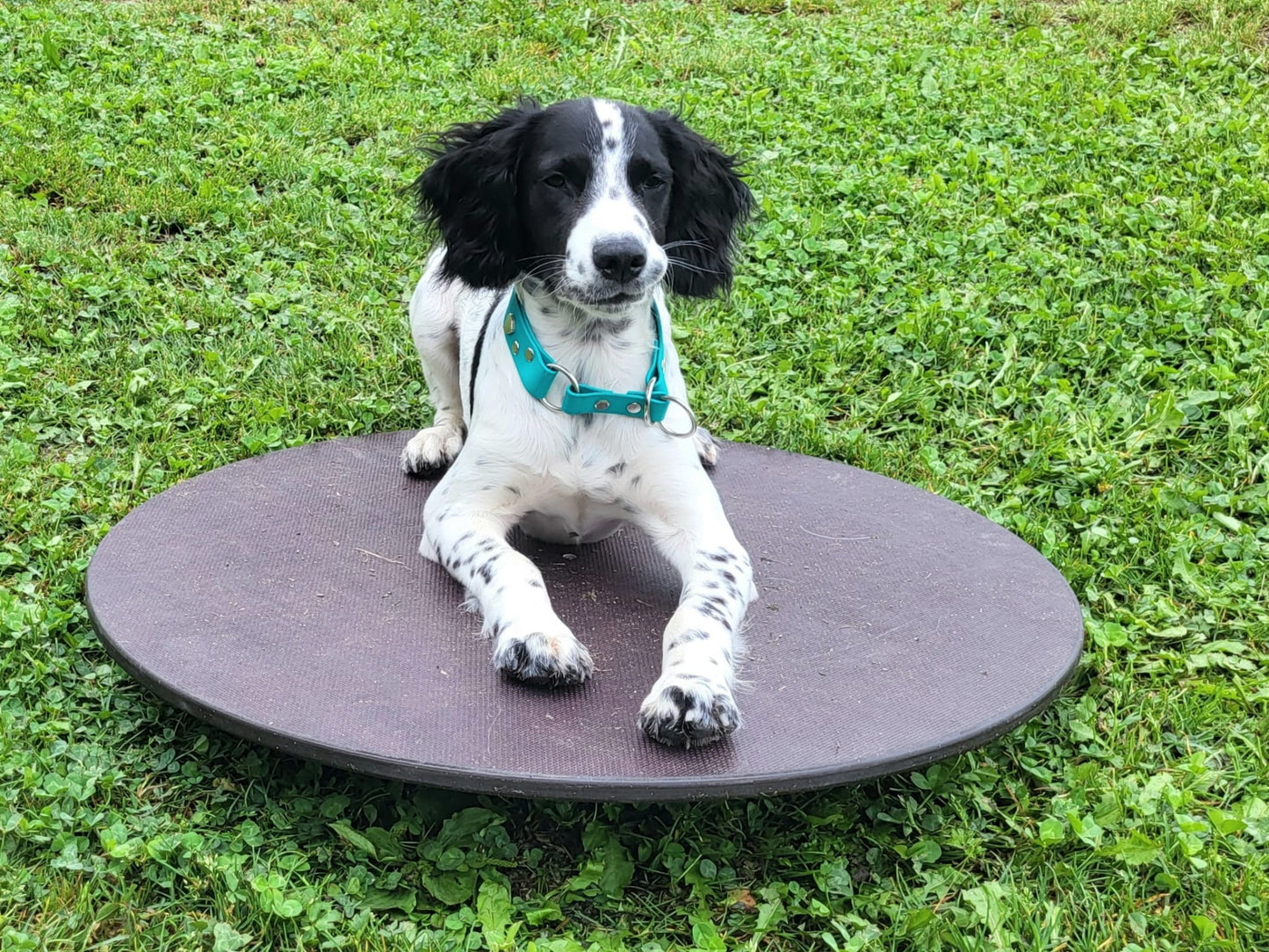 Balance Board/ Wackelbrett rund