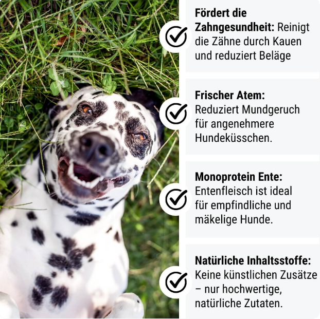 EnteLich Zähne zeigen