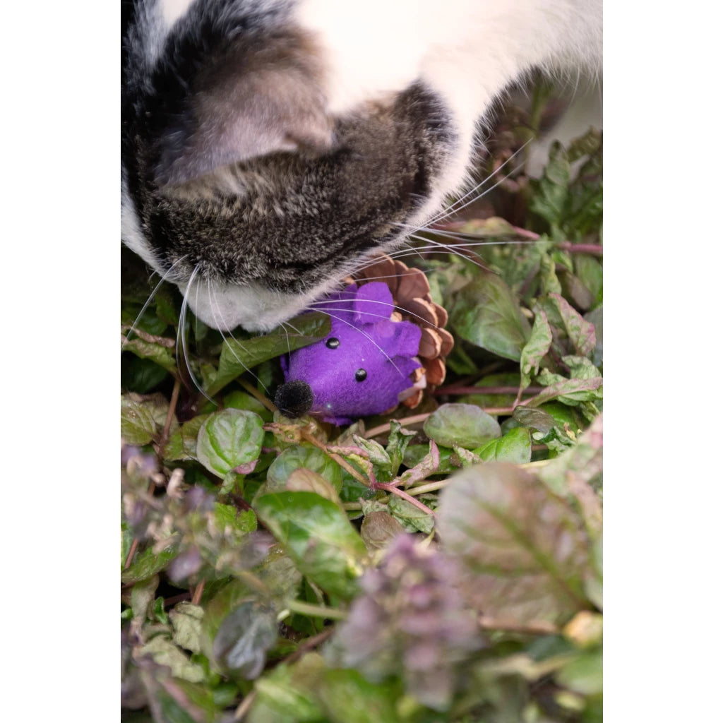 Forest Friends Mouse