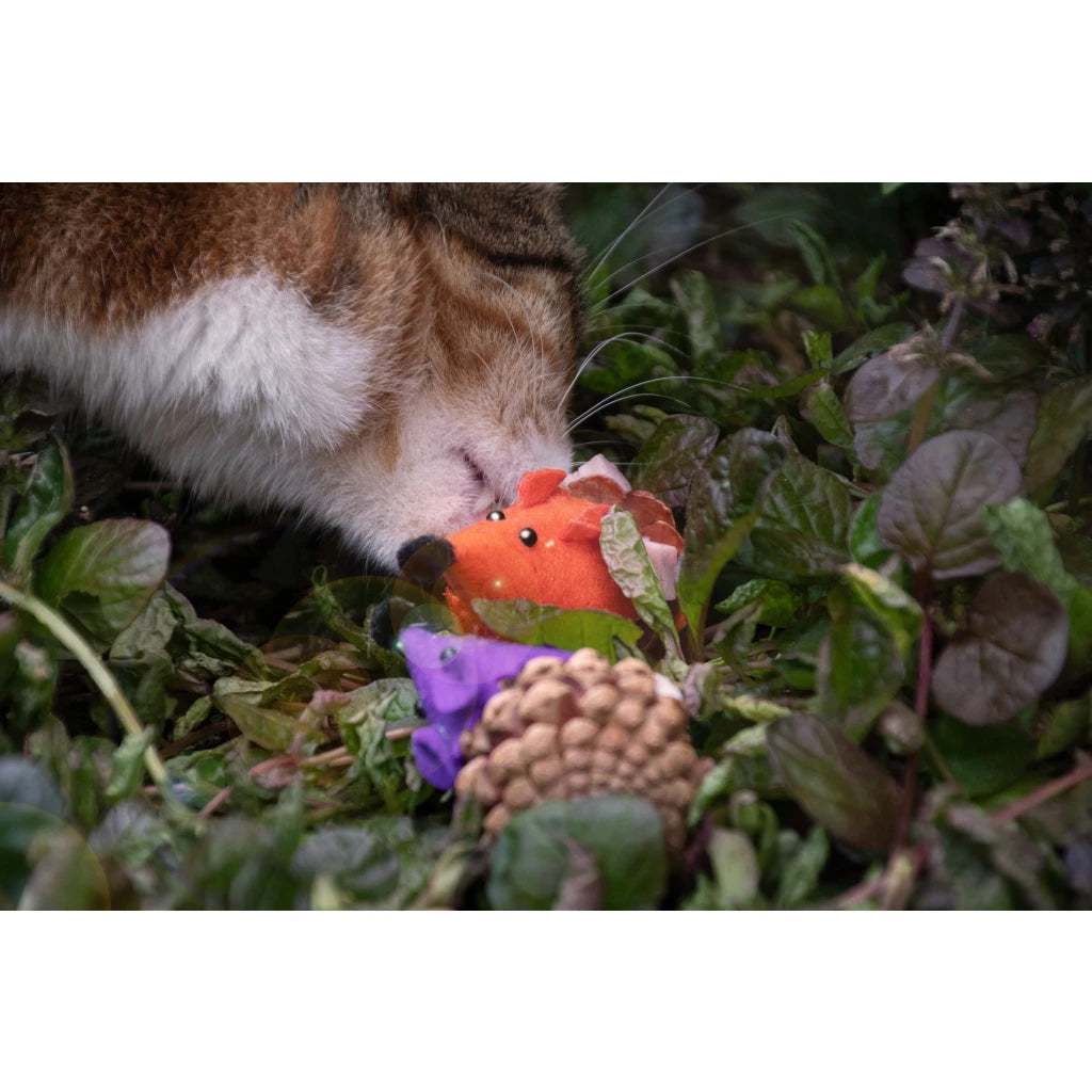 Forest Friends Mouse