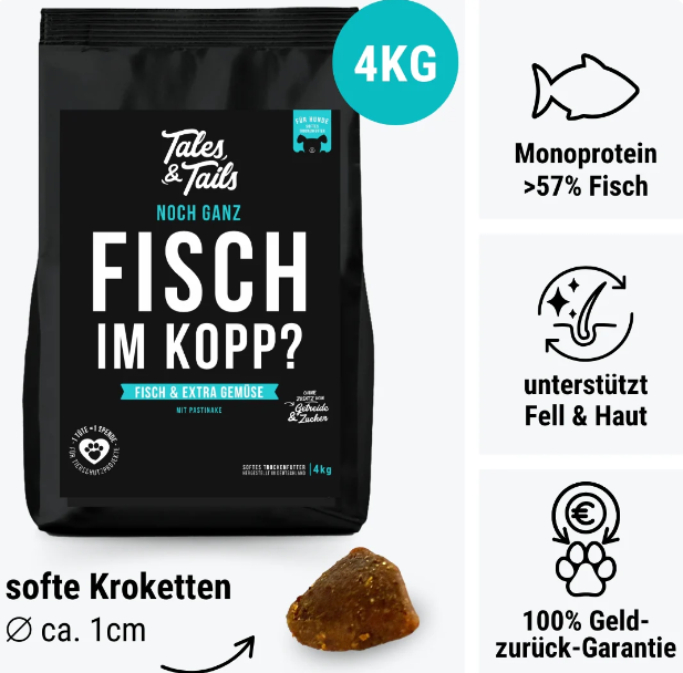 Noch ganz Fisch im Kopp?