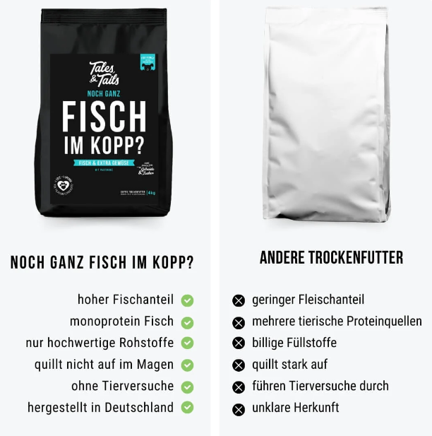Noch ganz Fisch im Kopp?