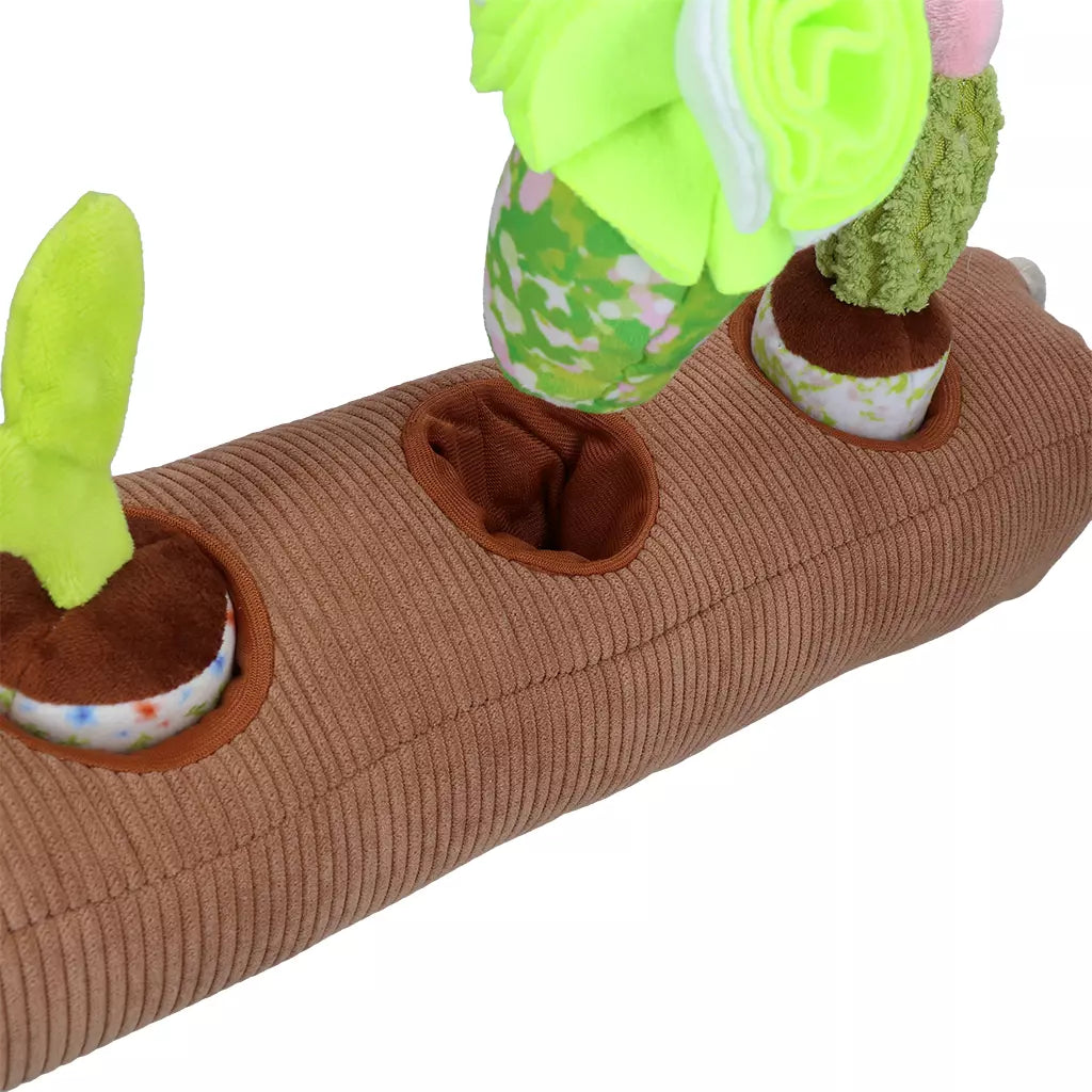 Garden Paws Snuffle Box Sprossen, Getreide & Kakteen