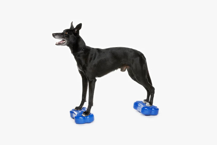FitPAWS® K9FITbone