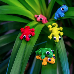 Gecko-Magnete
