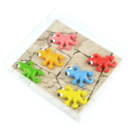 Gecko-Magnete