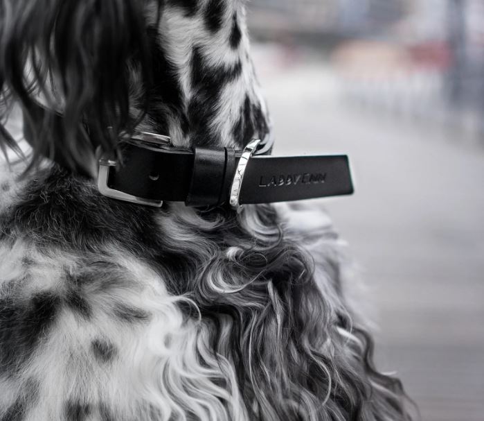 Hundehalsband Kollu Collar black von Labbvenn