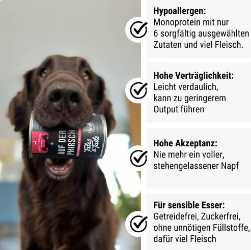 Auf der PHirsch