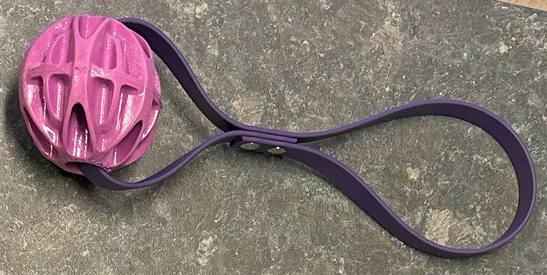 Baxter Ball mit Handgriff