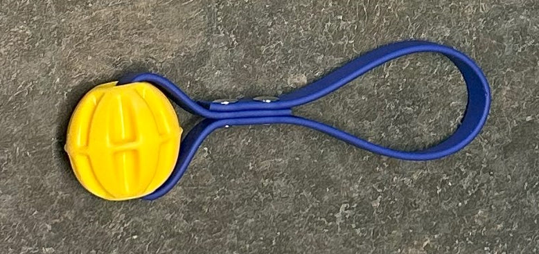 Baxter Ball Mini mit Handgriff