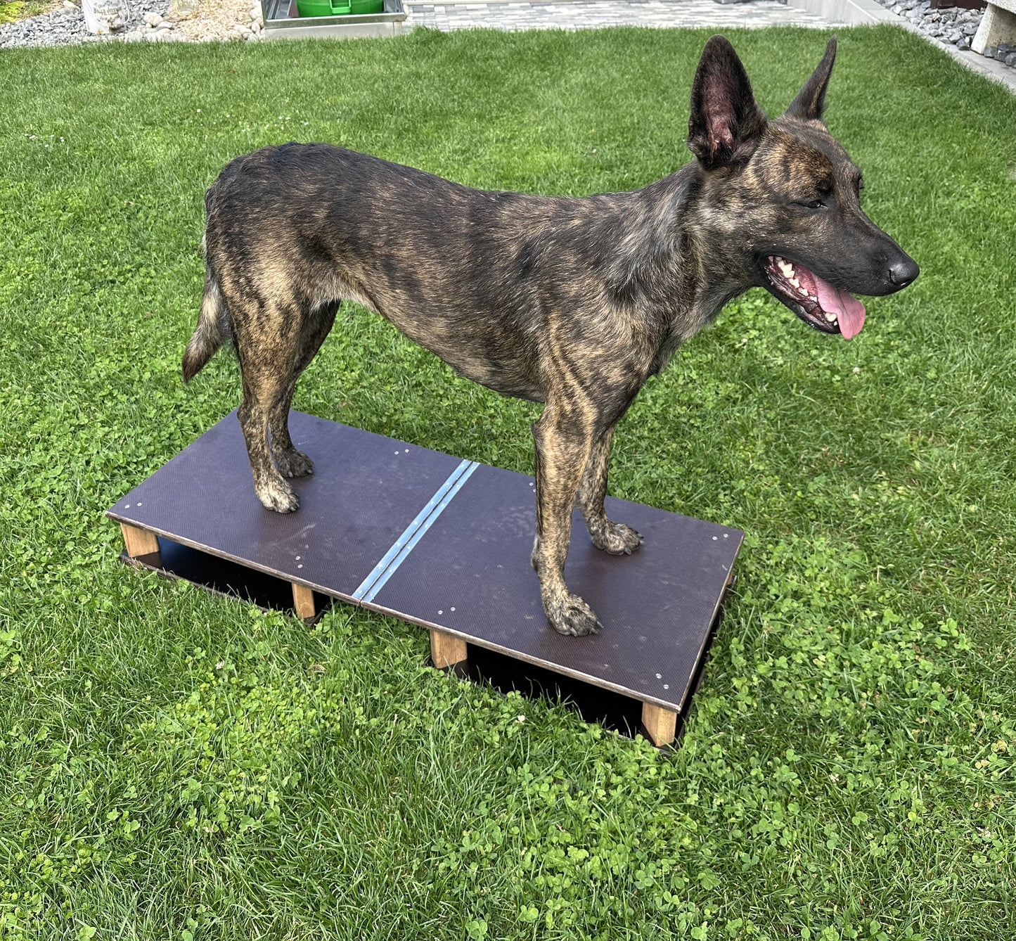 Trainings Brett