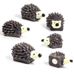 Igel-Magnete