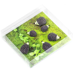Igel-Magnete