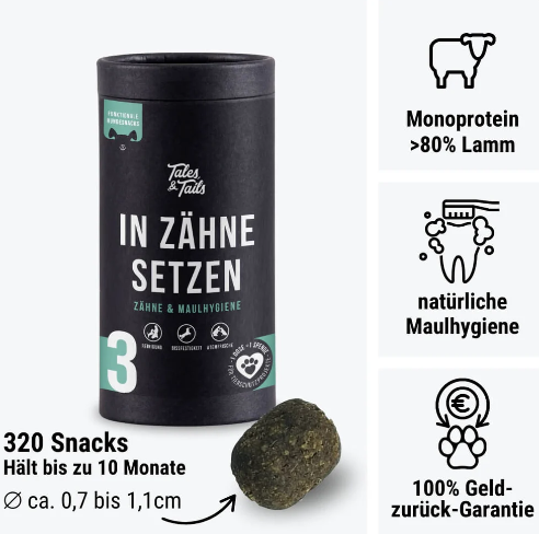 In Zähne setzen