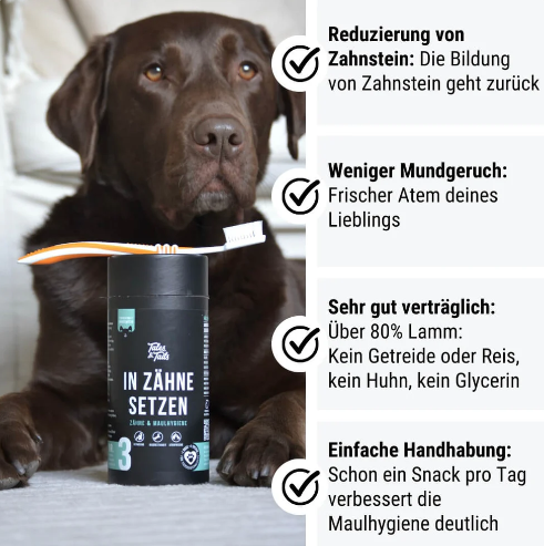 In Zähne setzen