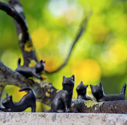 Schwarze Katzen-Magnete