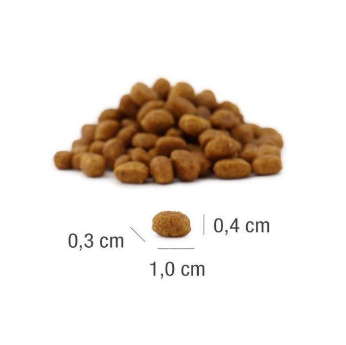 MeatCrisp Kitten Fish