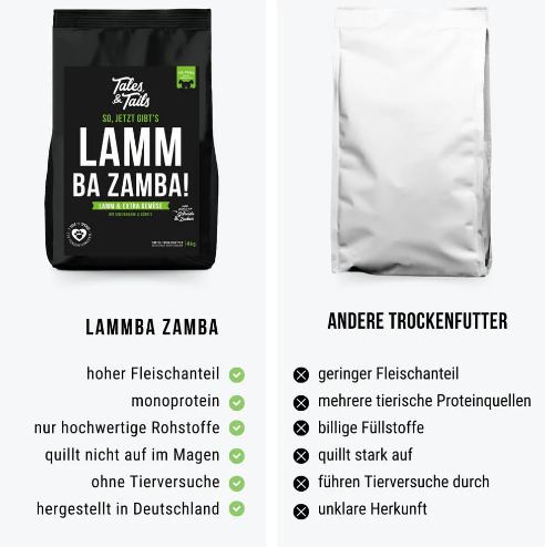 LammBa Zamba!