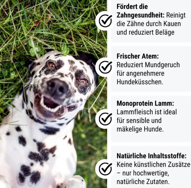 LammTastisch InsZähniert