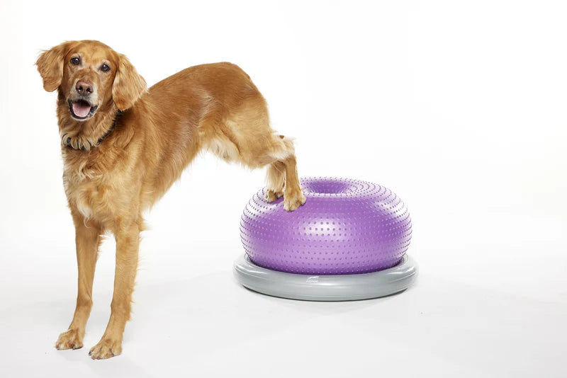 FitPAWS® TRAX Donut