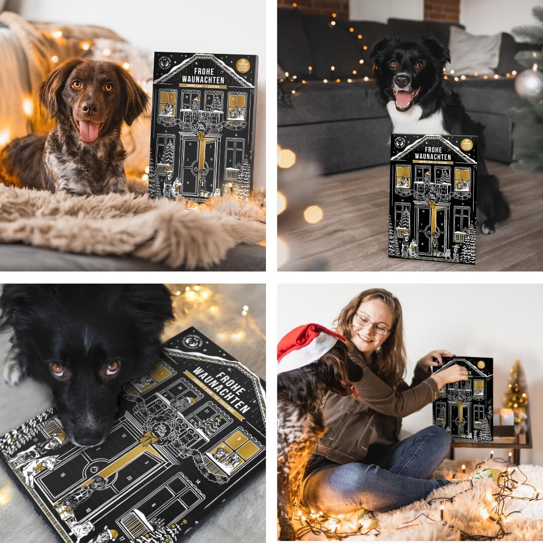 Frohe Waunachten - Adventskalender für Hunde