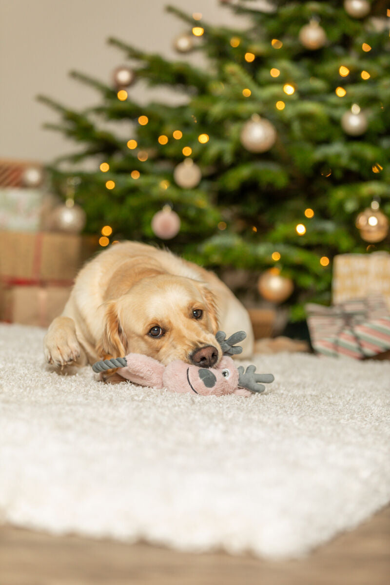 Xmas Rentier mit Tau