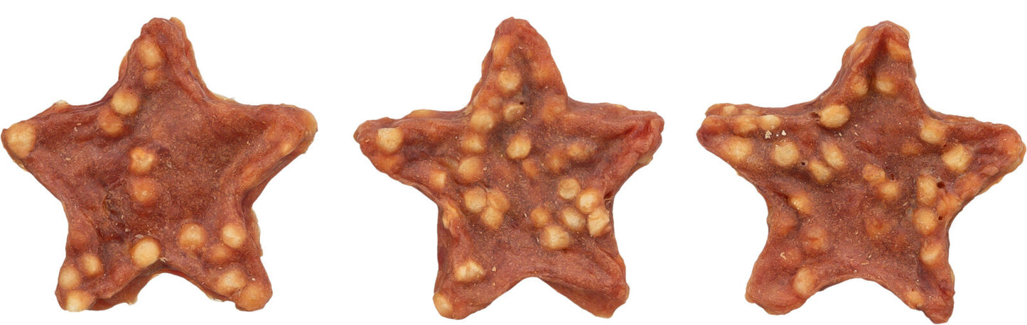 PREMIO Xmas Stars mit Ente und Reis
