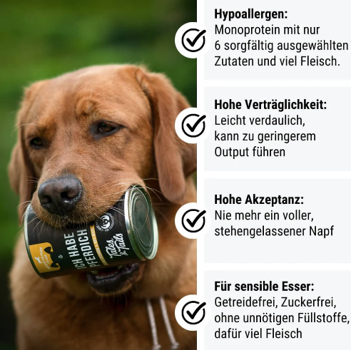 Ich habe PFERDich