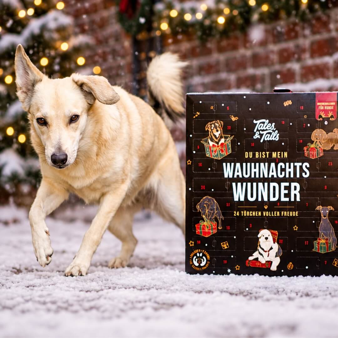 Adventskalender - Wauhnachts-Wunder