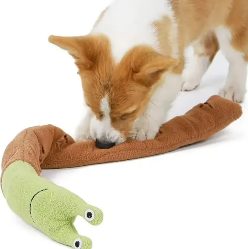 Schnüffel Schnecke