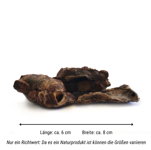 PferdAbredung zum Rumlungern