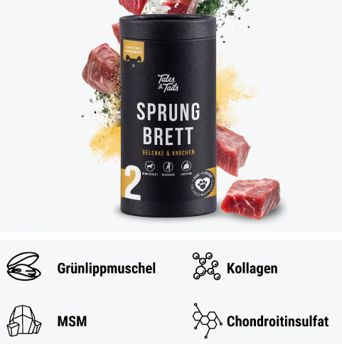 Sprungbrett