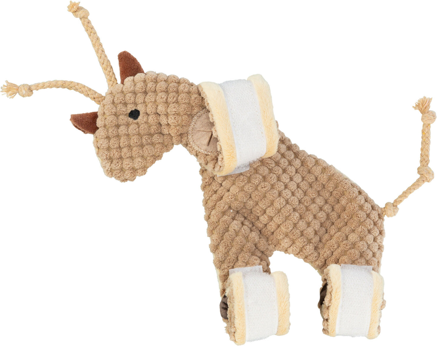 Snack Giraffe
